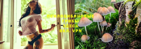 каннабис Арсеньев