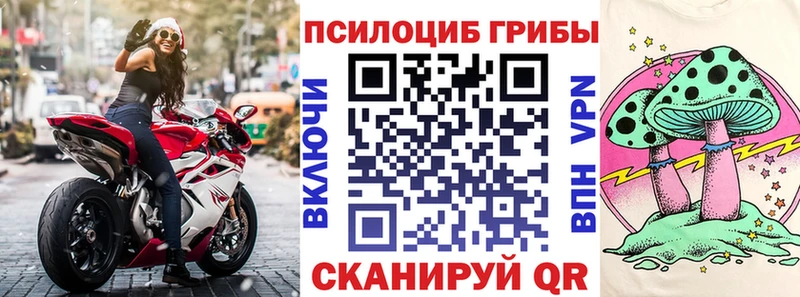 как найти закладки  Руза  Псилоцибиновые грибы Magic Shrooms 